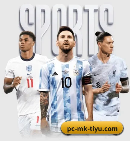 本站五个常用功能入口,赛程查询路径更短 - 多运动项目内容板块(MK sports app)